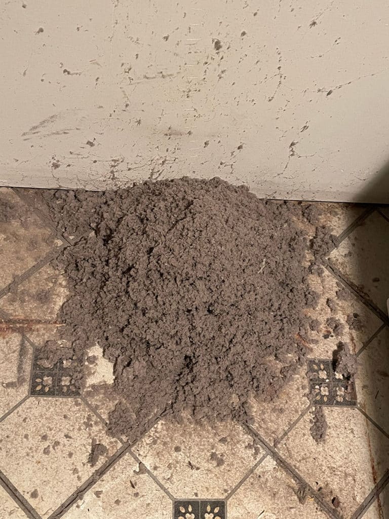 Fairfax County Virginia Clogged Dryer Vent Services